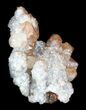 Red Calcite Crystals - Santa Eulalia #33838-2